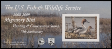 Picture of RW75A 2008 Duck Stamp  MNH F-VF