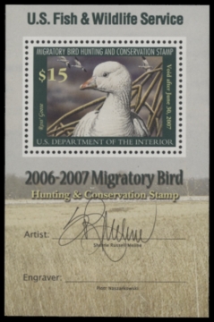 Picture of RW73B 2006 Duck Stamp  MNH F-VF