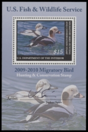 Picture of RW76B 2009 Duck Stamp  MNH F-VF