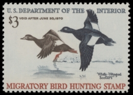 Picture of RW36 1969 Duck Stamp  MNH F-VF