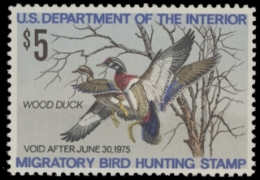 Picture of RW41 1974 Duck Stamp  MNH F-VF