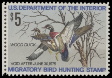 Picture of RW41 1974 Duck Stamp  MNH F-VF