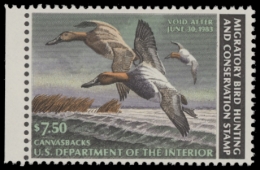 Picture of RW49 1982 Duck Stamp  MNH F-VF