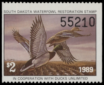 Picture of 1989 South Dakota Duck Stamp MNH VF