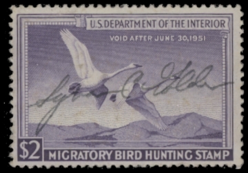 Picture of RW17 1950 Duck Stamp  Used F-VF