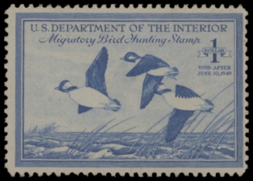 Picture of RW15 1948 Duck Stamp  Unsigned F-VF