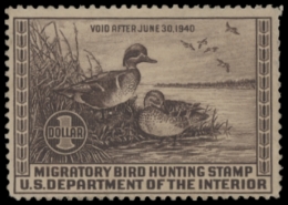 Picture of RW6 1939 Duck Stamp  Unsigned F-VF