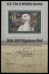 Picture of RW73B 2006 Duck Stamp  MNH F-VF