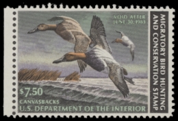 Picture of RW49 1982 Duck Stamp  MNH F-VF