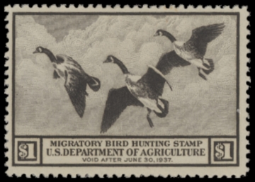 Picture of RW3 1936 Duck Stamp  MLH F-VF