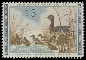 Picture of RW28 1966 Duck Stamp  MLH F-VF