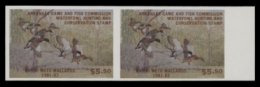 Picture of 1981 Arkansas Duck Stamp - First of State MNH VF
