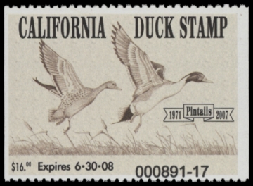 Picture of 2007 California Duck Stamp MNH VF