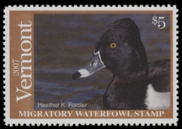 Picture of 2007 Vermont Duck Stamp MNH VF