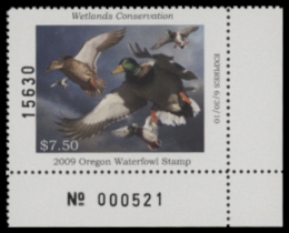 Picture of 2009 Oregon Duck Stamp MNH VF