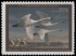 Picture of RW90 2023 Duck Stamp - Faults