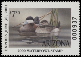 Picture of 2000 Arizona Duck Stamp