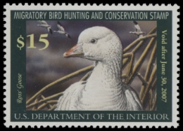 Picture of RW73 2006 Duck Stamp MNH. F-VF