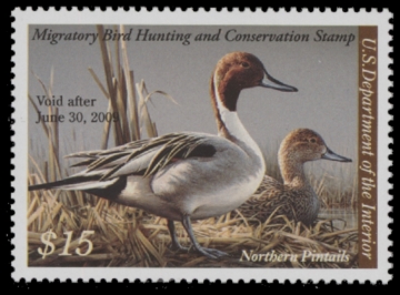 Picture of RW75 2008 Duck Stamp. MNH F-VF