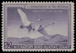 Picture of RW17 1950 Duck Stamp. MNH