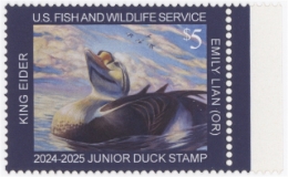 Picture of JDS32 2024 Duck Stamp MNH VF