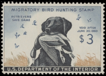 Picture of RW26 1959 Duck Stamp. MLH