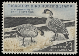Picture of RW31 1964 Duck Stamp.MNH