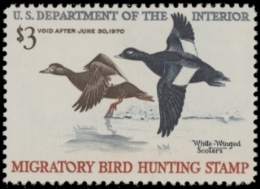 Picture of RW36 1969 Duck Stamp. MLH