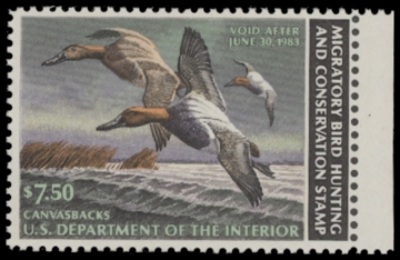 Picture of RW49 1982 Duck Stamp. Unsigned