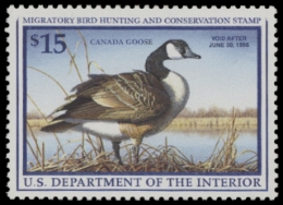 Picture of RW64 1997 Duck Stamp. MLH
