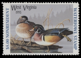 Picture of 1995 West Virginia Duck Stamp