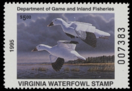 Picture of 1995 Virginia Duck Stamp