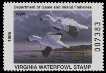Picture of 1995 Virginia Duck Stamp
