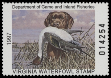 Picture of 1997 Virginia Duck Stamp