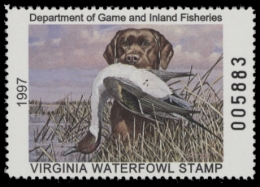 Picture of 1997 Virginia Duck Stamp