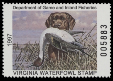 Picture of 1997 Virginia Duck Stamp
