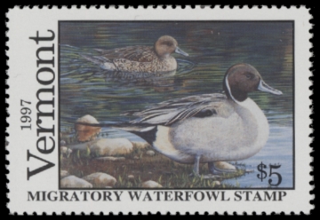 Picture of 1997 Vermont Duck Stamp