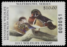 Picture of 2011 Tennessee Duck Stamp