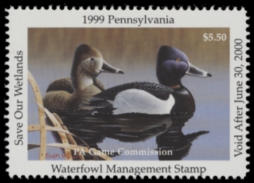 Picture of 1999 Pennsylvania Duck Stamp