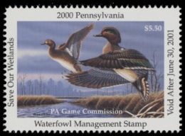 Picture of 2000 Pennsylvania Duck Stamp
