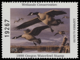 Picture of 1999 Oregon Duck Stamp