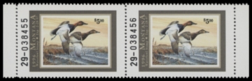 Picture of 1999 Montana Duck Stamp