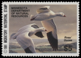 Picture of 1991 Minnesota Duck Stamp