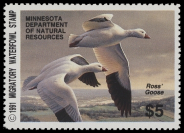 Picture of 1991 Minnesota Duck Stamp