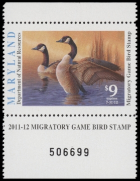Picture of 2011 Maryland Duck Stamp