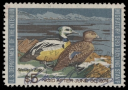 Picture of RW40 1973 Duck Stamp. MNH