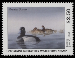 Picture of 1997 Maine Duck Stamp