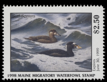 Picture of 1998 Maine Duck Stamp