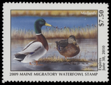 Picture of 2009 Maine Duck Stamp