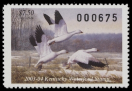 Picture of 2003 Kentucky Duck Stamp